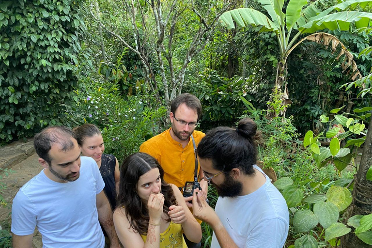 إيلا: جولة في حديقة التوابل Nine Arch مع غداء تقليدي