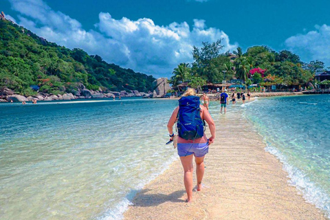 Koh Tao: Snorkel with Turtles at Nangyuan with Fewer Crowds
