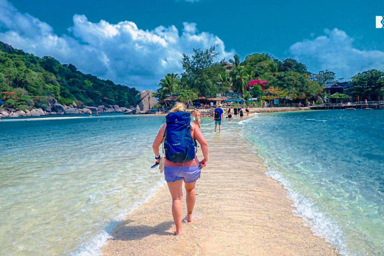 Koh Tao: Snorkel with Turtles at Nangyuan with Fewer Crowds
