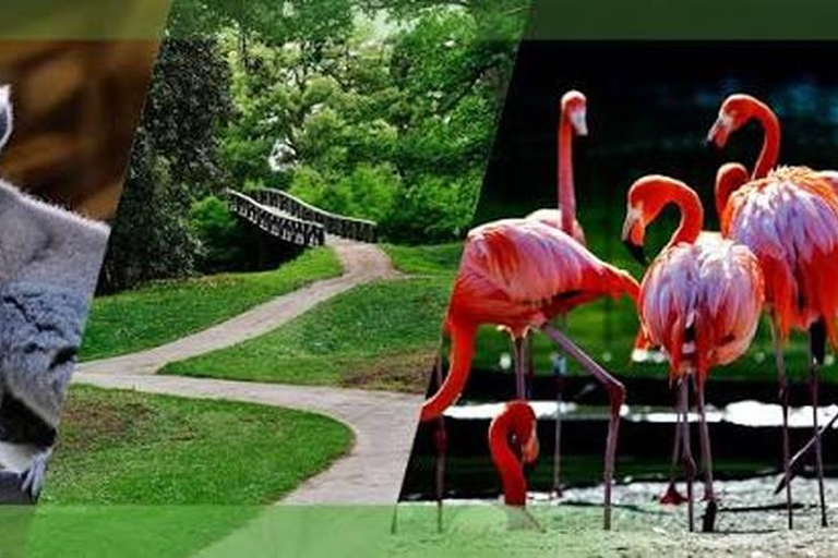 Kutaisi: Batumi, Shekvetili & Petra Fortress Full day Tour