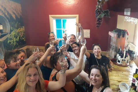 Nassau: Private Rum Reggae and Rhythms Tour