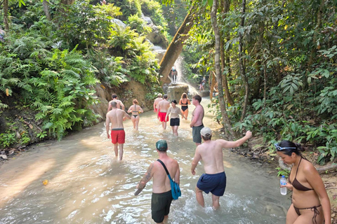 Chiang Mai:Wat Pha Lat,Doi Suthep&Sticky Waterfall Day Trip