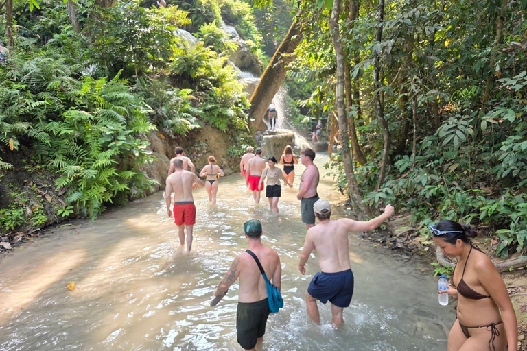 Chiang Mai:Wat Pha Lat,Doi Suthep&Sticky Waterfall Day Trip