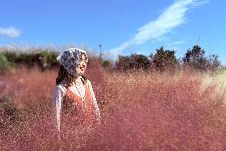 Jeju Trendy Café Tour and When Life Gives You Tangerines