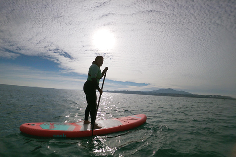 From Valparaíso: Concón Birdwatching & Sunset SUP Tour
