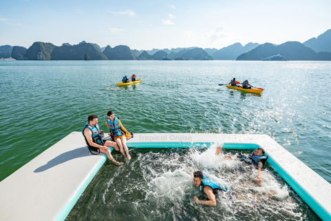 河内：下龙湾至兰哈湾 - 猫巴岛一日游从河内出发，乘坐豪华巴士（22 座）