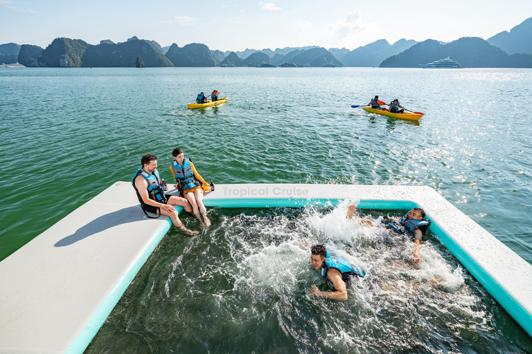 河内：下龙湾至兰哈湾 - 猫巴岛一日游从河内出发，乘坐豪华巴士（22 座）