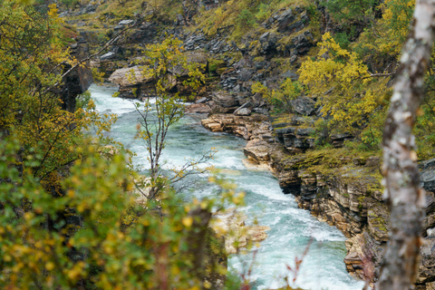 Da Kiruna: esplora Abisko di giorno