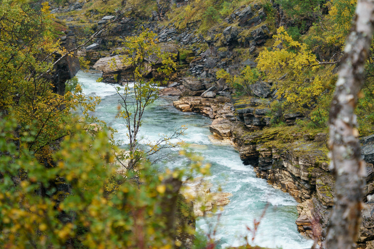 Da Kiruna: esplora Abisko di giorno