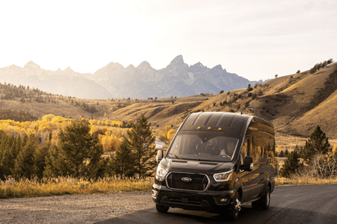 Jackson: Private Widlife Safari & Lake Beach Experience