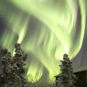 Fairbanks: Polarlicht-Beobachtungs-Lodge mit Transport