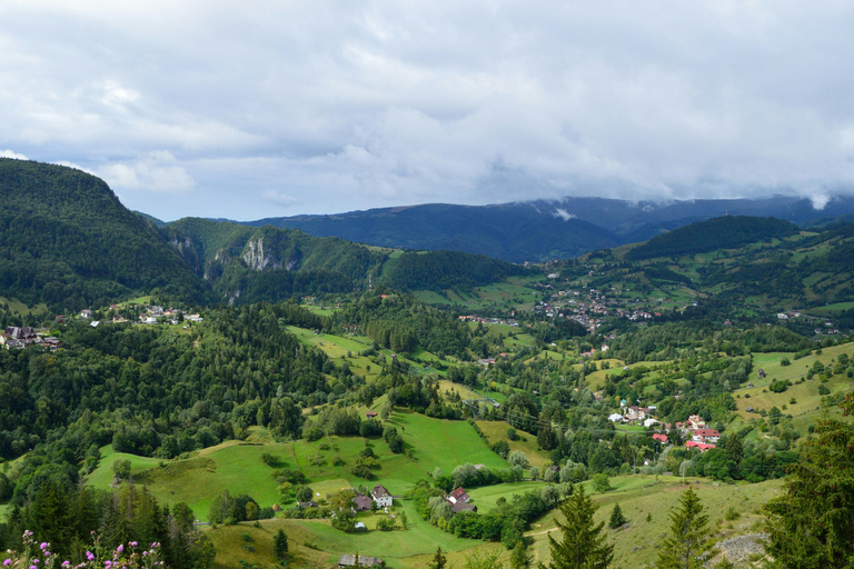 From Bucharest: Cantacuzino Castle, Bears & Brasov Tour