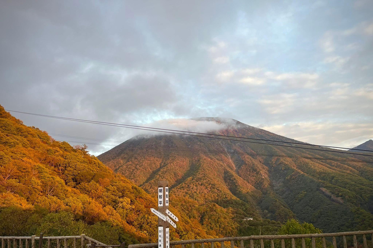 Tokyo: 5-Day Private Tour to Hiroshima with Transport