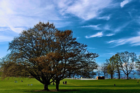 GurtenPark–Bern: 360° Viewpoint, Toboggan Run, and Cheese Picnic Gurten Park – Bern: Small Group Tour