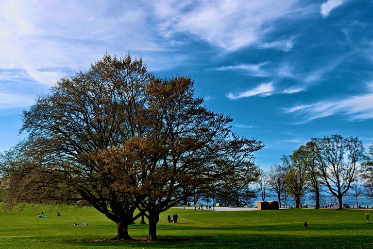 GurtenPark–Bern: 360° Viewpoint, Toboggan Run, and Cheese Picnic Gurten Park – Bern: Small Group Tour