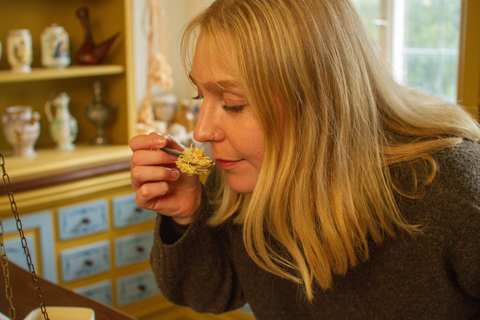 Kloster Andechs: descobrir a história da medicina com realidade virtualConvento de Andechs: descubra a história da medicina com realidade virtual