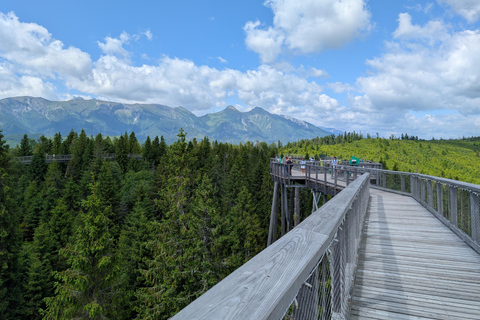 from Zakopane: Treetop Walk and Štrbské Pleso Trip