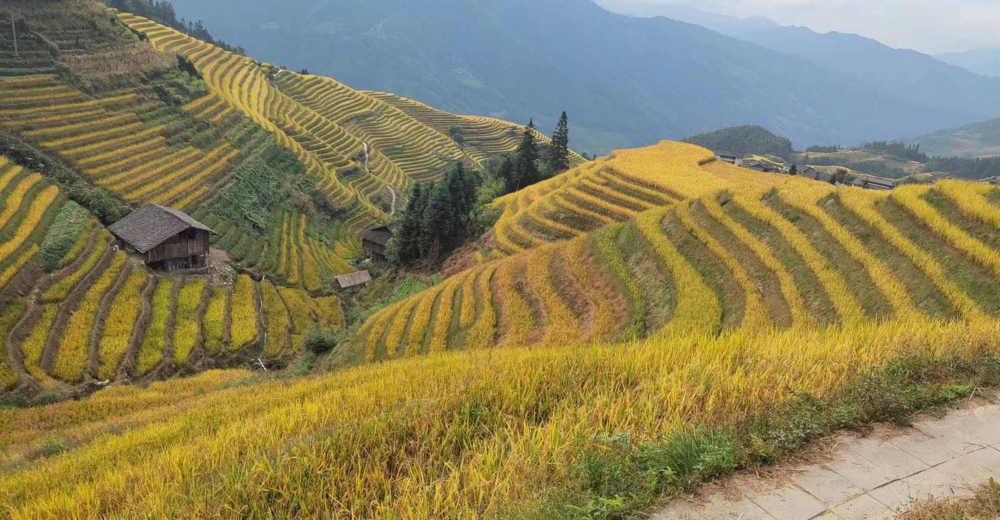 Longji Rice Terraces, Full-Day Private Tour from Guilin - Housity