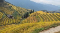 Longji Rice Terraces, Full-Day Private Tour from Guilin - Housity