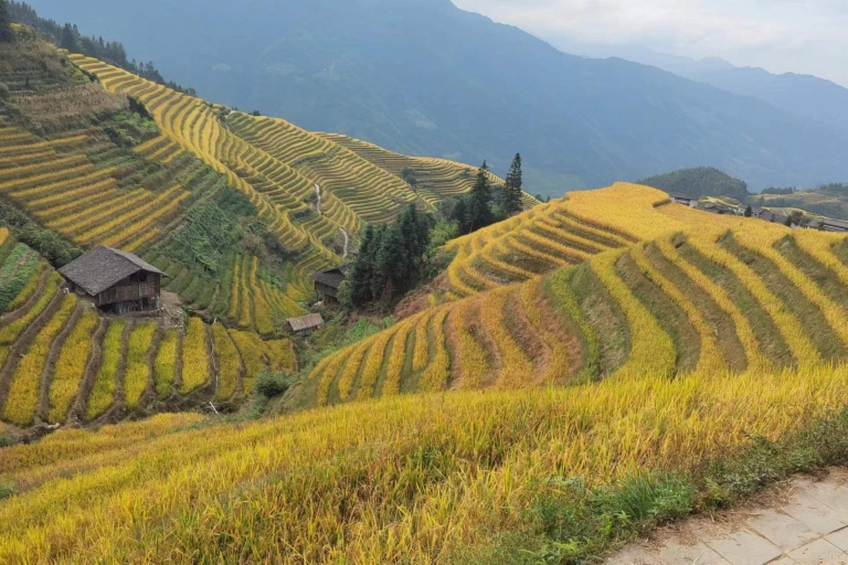 Rizières en terrasses de Longji: visite privée d'une journée de GuilinRandonnée au village de Dazhai