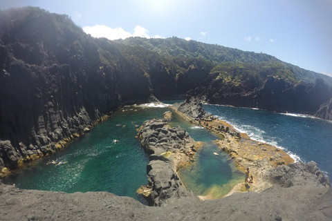 Île de São Jorge : Visite d&#039;une jounée avec véhicule et excursion en bateau