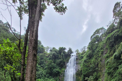 Moshi: Materuni Waterfalls & Coffee Tour with Local Lunch Materuni Waterfalls & Coffee Experience with local Lunch