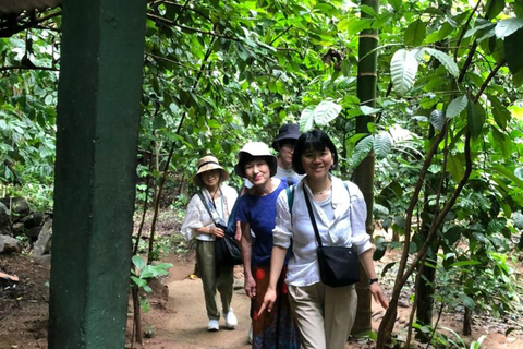 Kandy: Tea Tasting, Gem Museum & Spice Garden Tuk Tuk Tour