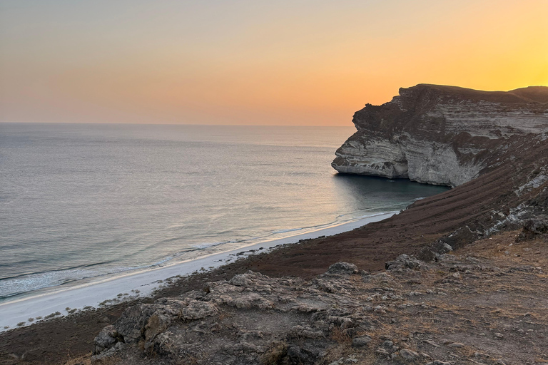 Salalah Local Life Tour: Camels, Coast & Natural Wonders
