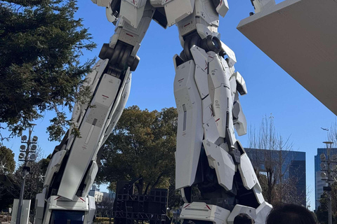 Tokyo: Private Customizable Tour with Driver-Guide