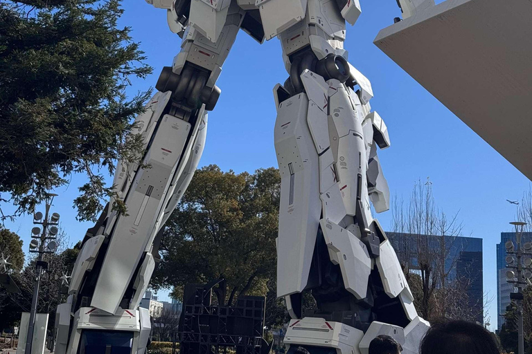 Tokyo: Private Customizable Tour with Driver-Guide