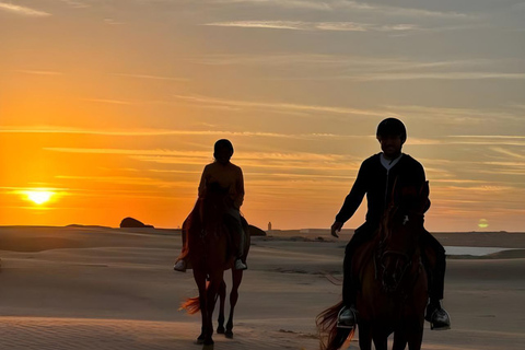 الدوحة: ركوب الخيل العربي في صحراء قطر مع النقل