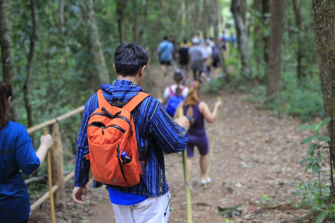 Chiang Mai: Wycieczka i wędrówka do Doi Inthanon i sanktuarium słoni