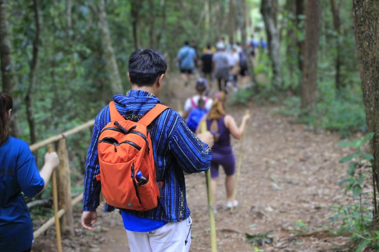 Chiang Mai : Visite et randonnée au Doi Inthanon et au Sanctuaire des éléphants