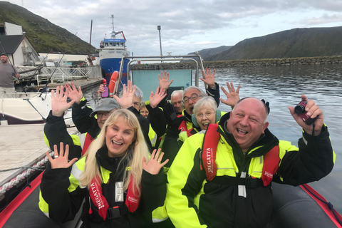 هونينغسفاغ سلطعون ملك شمال كيب الشمالي وسفاري الحياة البرية في القطب الشمالي