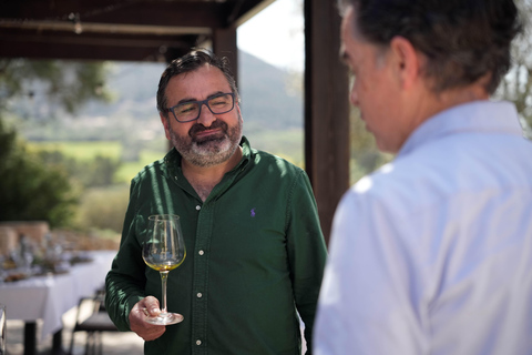 Mallorca Olive grove visit, Oil & Wine Tasting & Light Lunch Español Olive grove visit, olive oil and wine tasting, snack