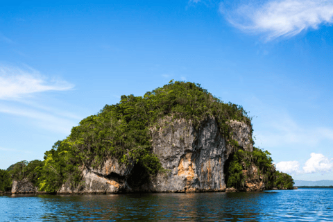 Punta Cana: Valskådning och rundtur i Los Haitises nationalpark