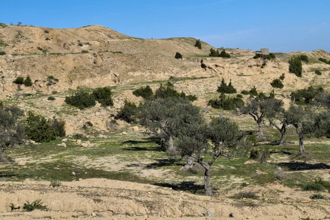 Hammamet: Guided quad tour through the Hammamet hinterland - quad riding Hammamet: Quad riding / Quad tour through the Hammamet hinterland