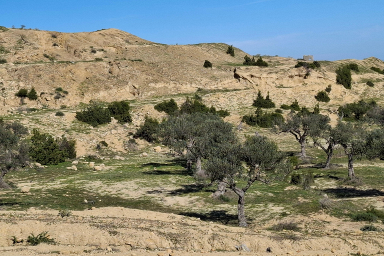 Hammamet: Guided quad tour through the Hammamet hinterland - quad riding Hammamet: Quad riding / Quad tour through the Hammamet hinterland