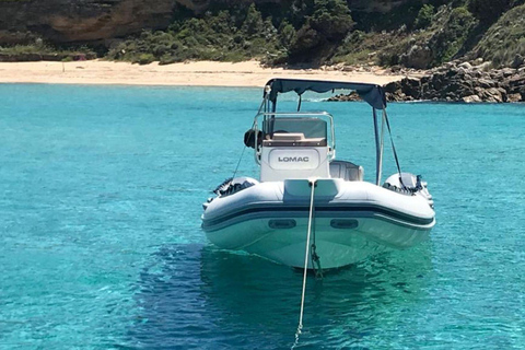 Desde Santa Teresa Gallura: excursión en lancha a Córcega