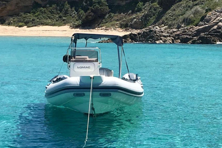 Desde Santa Teresa Gallura: excursión en lancha a Córcega