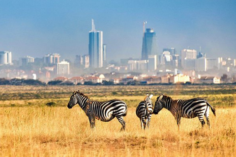 Nairobi: parco nazionale, centro giraffe e tour sui tettiViaggiatore solitario