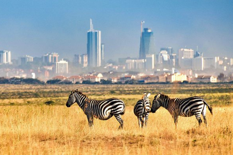 Nairobi: parco nazionale, centro giraffe e tour sui tettiViaggiatore solitario