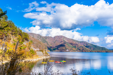 Tokyo: Nikko Kegon Falls Lake Chuzenji Toshogu Temple & More From Tokyo: Nikko Unesco Customised Private Tour In Prado