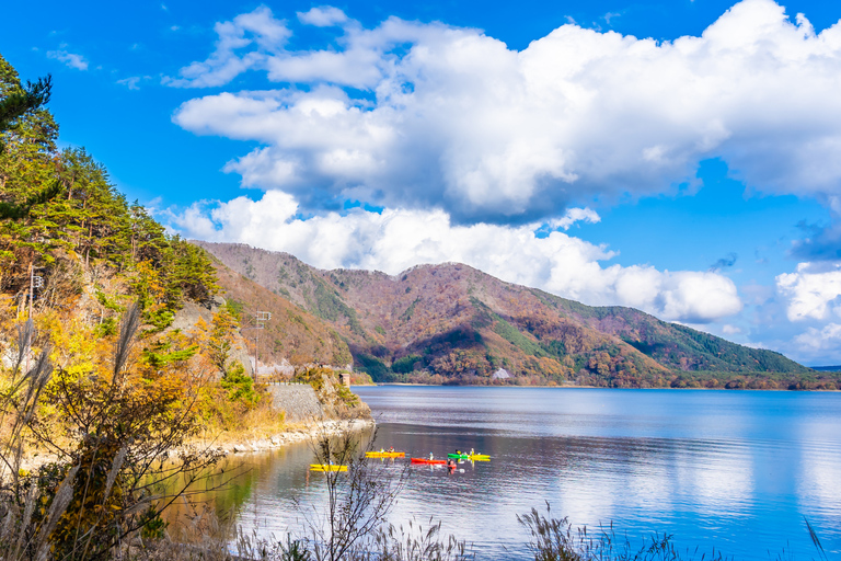 Tokyo: Nikko Kegon Falls Lake Chuzenji Toshogu Temple & More From Tokyo: Nikko Unesco Customised Private Tour In Prado