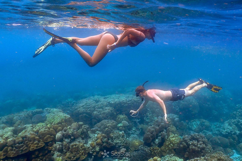 Z Phuket: wycieczka z rurką na wyspy SurinZ Phuket: wycieczka snorkelingowa na wyspy Surin