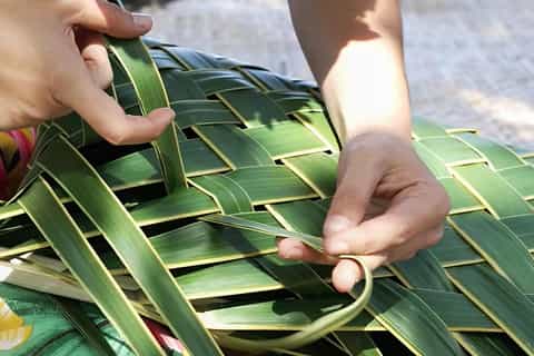 Immersion privée à Moorea: randonnées, ateliers culturels & déjeuner inclus