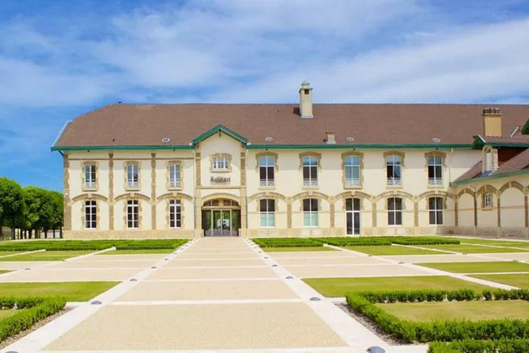 Parigi: escursione privata di un giorno nella regione dello Champagne e a Reims