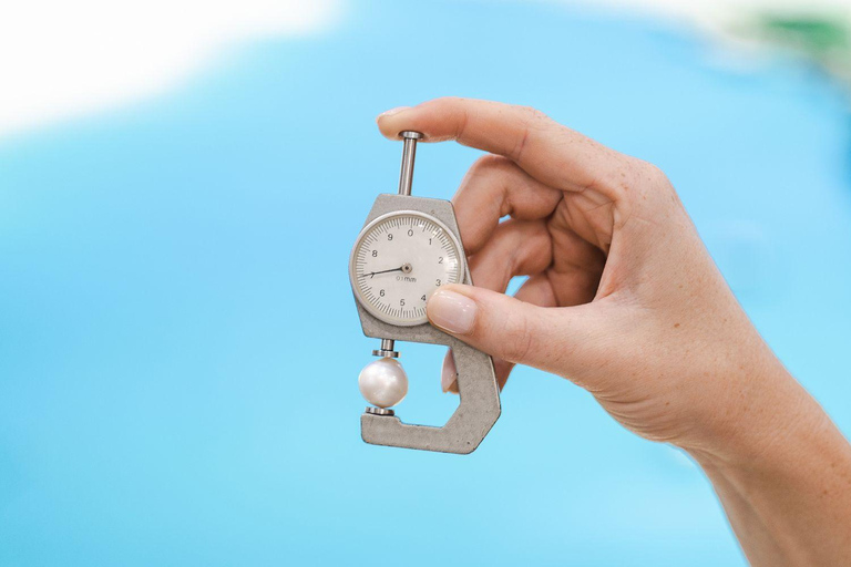 珀斯：亲自采集珍珠体验珀斯 (Perth) 收获珍珠的茶点体验