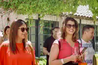 Desde Santiago, Concha y Toro Half Day Winery Tasting Tour - Housity