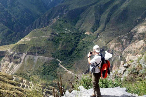 Wandeling in de Colca Canyon in Arequipa 2D/1N